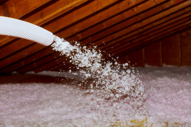 Best Basement Insulation  in Hernando, MS