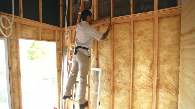 Best Wall Insulation Installation  in Hernando, MS